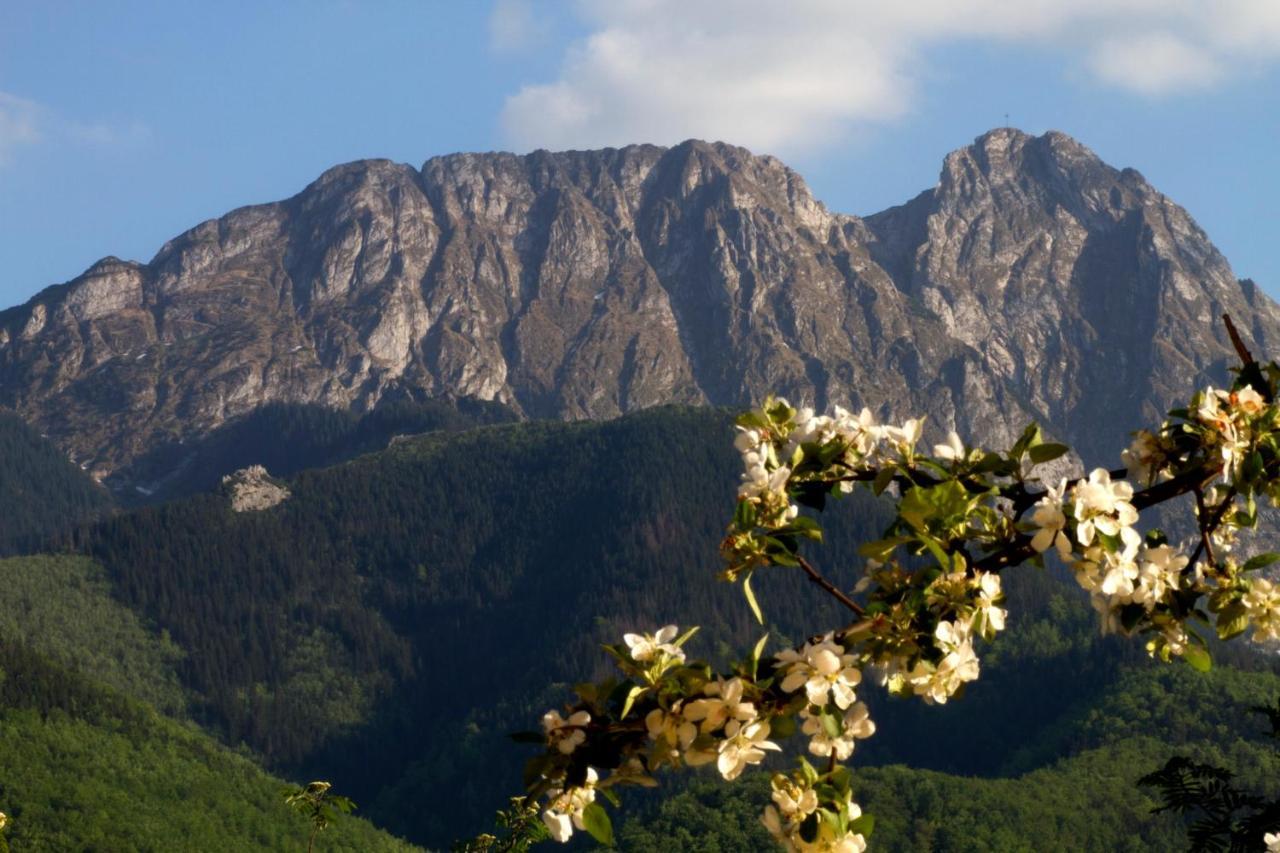 Willa Danuska Poronin Bagian luar foto